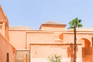Orange buildings with a palm tree under blue sky
