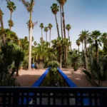 Lush garden with palm trees and blue water feature.