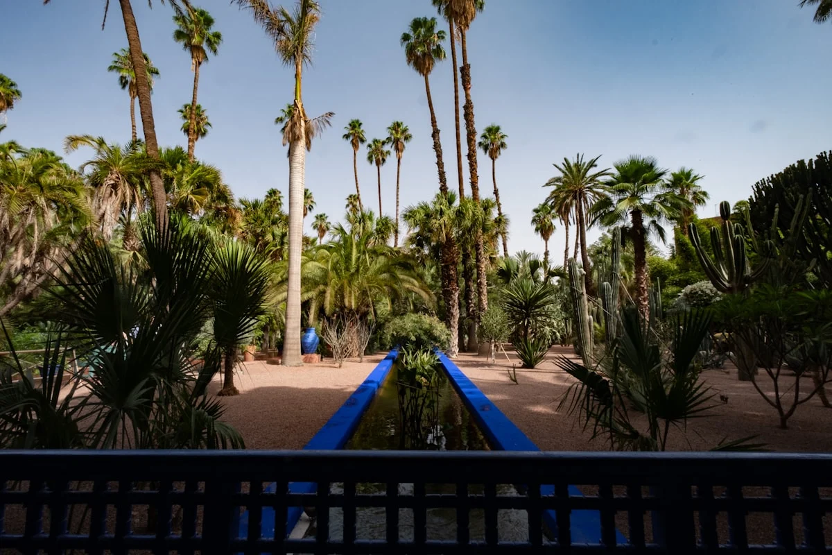 Lush garden with palm trees and blue water feature.